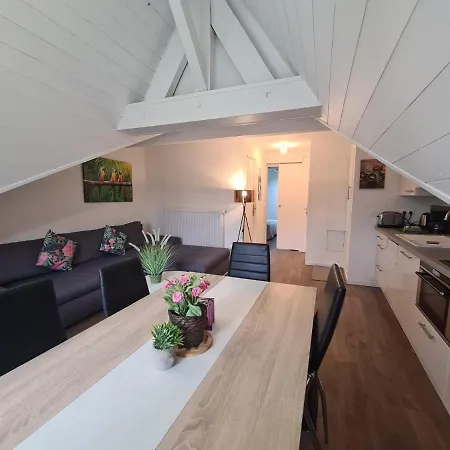 De L'eculaz Appartement